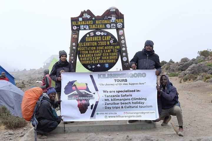 Mount Kilimanjaro National Park Day Trip