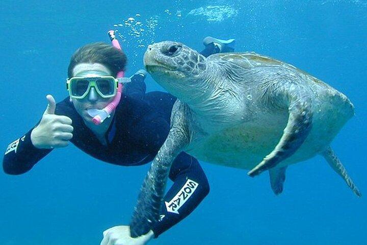 Hikkaduwa Unforgettable Snorkeling Experience