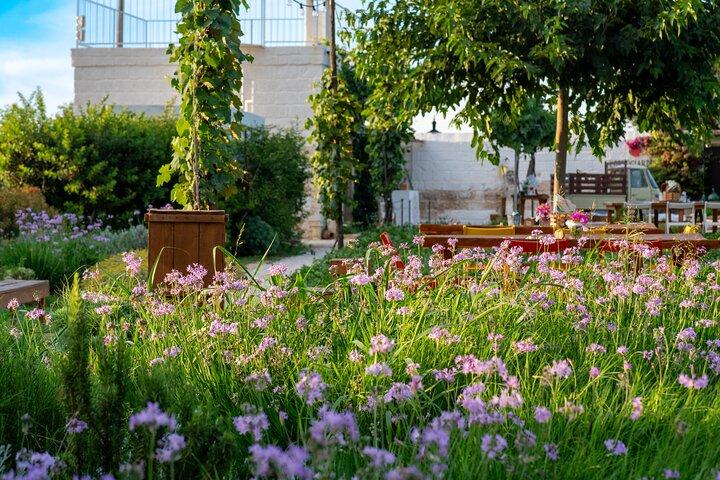 Compose your dish in a magical garden in the center of Ostuni