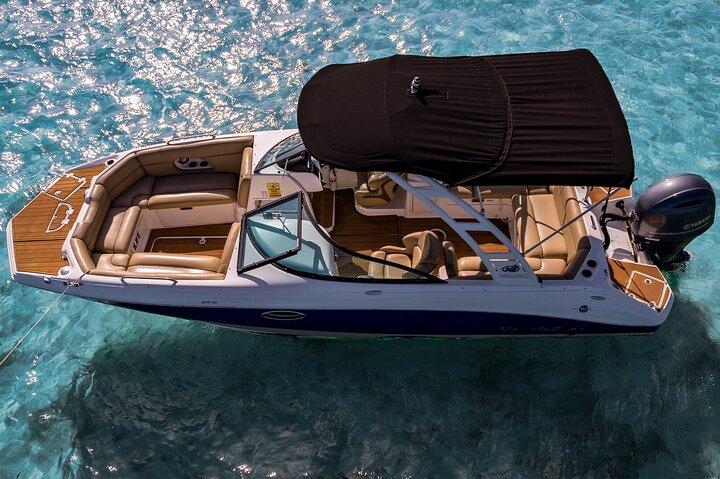 Private Miami Beach Boat Tour: Celebrity Homes, raccoons & more