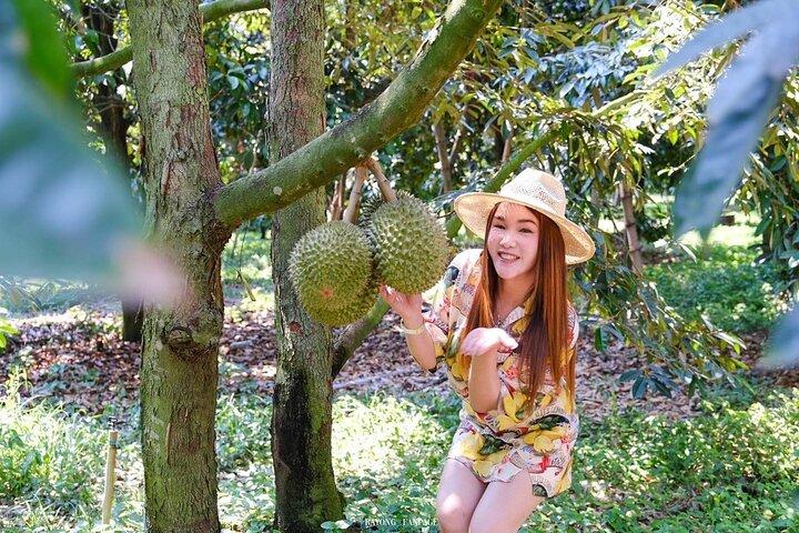 Full day in Pattaya Rayong with Durian Buffet at Suphattra Farm
