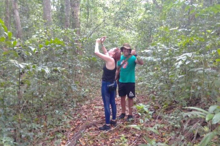 All Inclusive Tikal Tour from Flores or Mayan World Airport