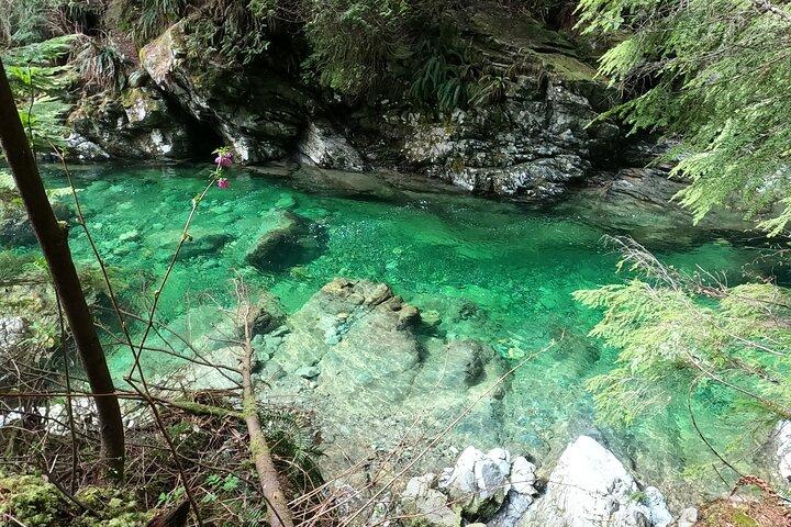 Capilano Suspension Brid, Lynn Canyon Park + 4 more sights Tour