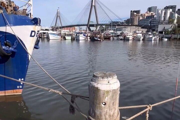 Taste of Sydney Tour (mini coach)