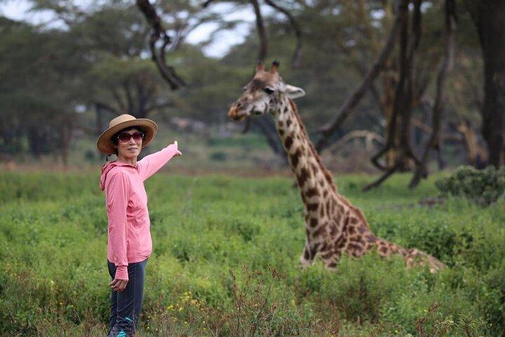 5 Day Masai Mara, Lake Nakuru and Naivasha Daily Budget Safari