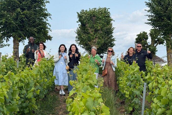 Paris: Champagne Day Trip with Tastings, Cathedral & Pickup