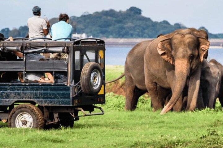Sri Lanka 14 Days Private Tour with Luxury Hotels