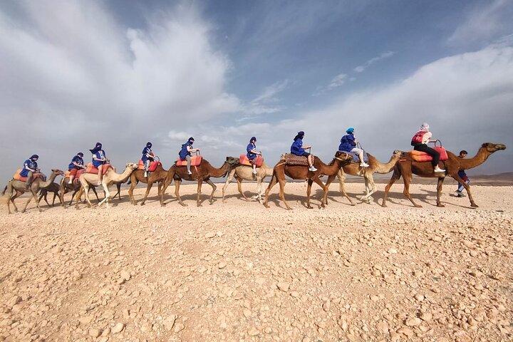 Camel ride in oasis Desert Marrakech