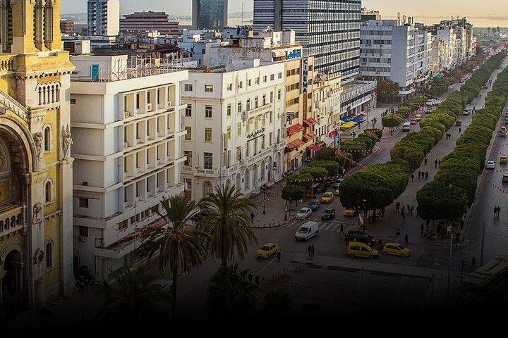 Fun prestige tour Tunis :Bardo/Medina, Carthage and Sidi Boussaid