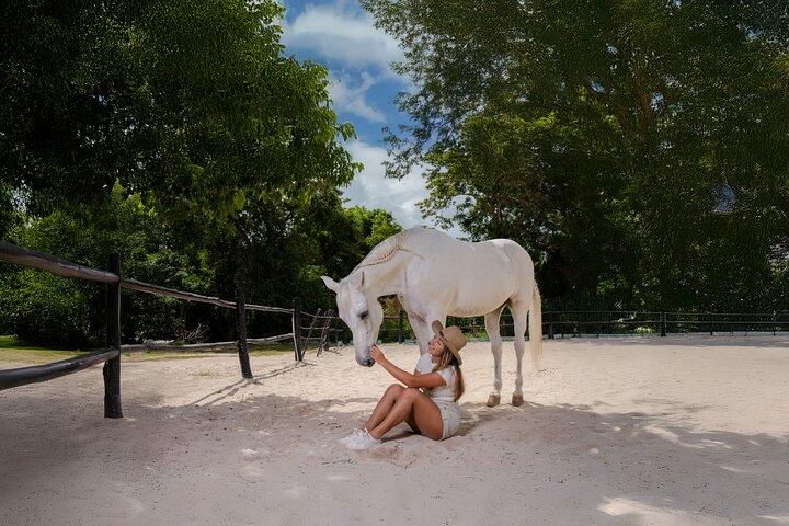 Horseback Riding and Cenote Swim from Cancun or Playa del Carmen