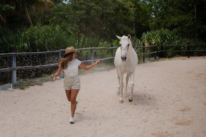 Horseback Riding and Cenote Swim from Cancun or Playa del Carmen