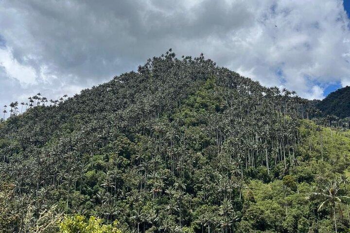 La Carbonera Tour