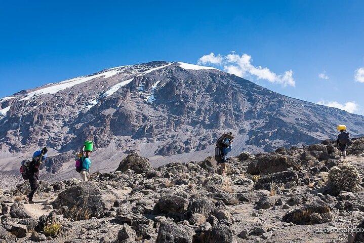 Experience Kilimanjaro One Day Trek Tour in Lemosho Route