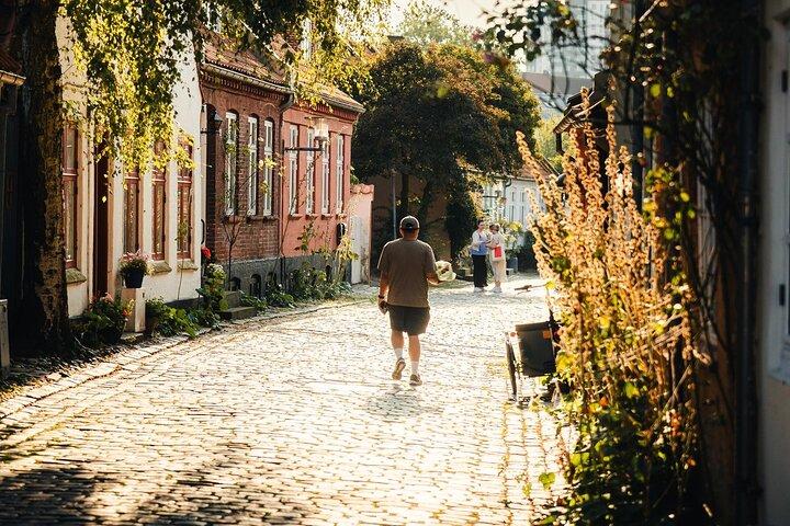 Aarhus City Highlights Private Tour