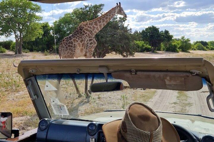 Chobe National Park with Lunch: From Victoria Falls Zimbabwe