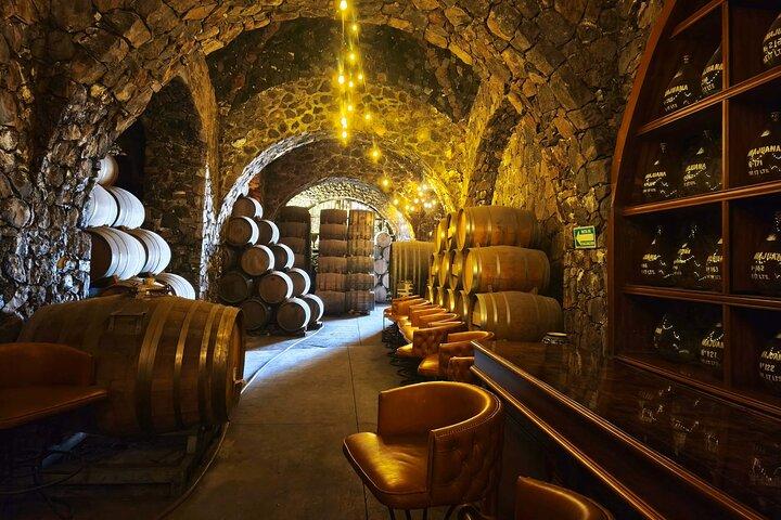 Alma Tequilera: Private Tequila Experience, Tasting & Celebration
