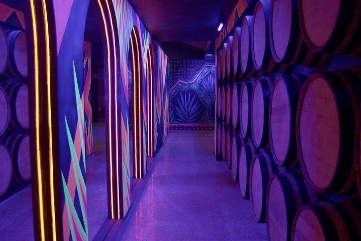 Immersive Experience & Tequila Tasting in Puerto Vallarta