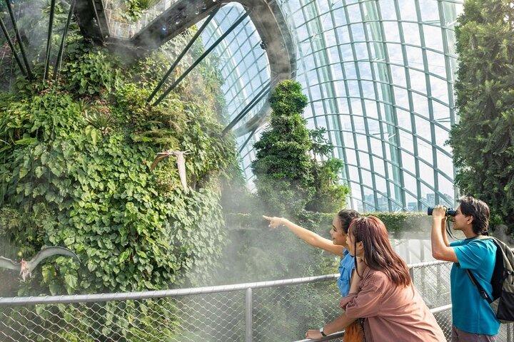 Gardens by the Bay E-Tickets: Flower Dome+Cloud Forest