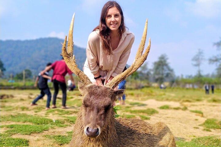 Kawah Putih Tour From Bandung City