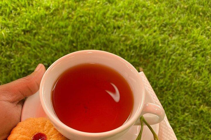 Kiambethu Tea Farm Day Tour