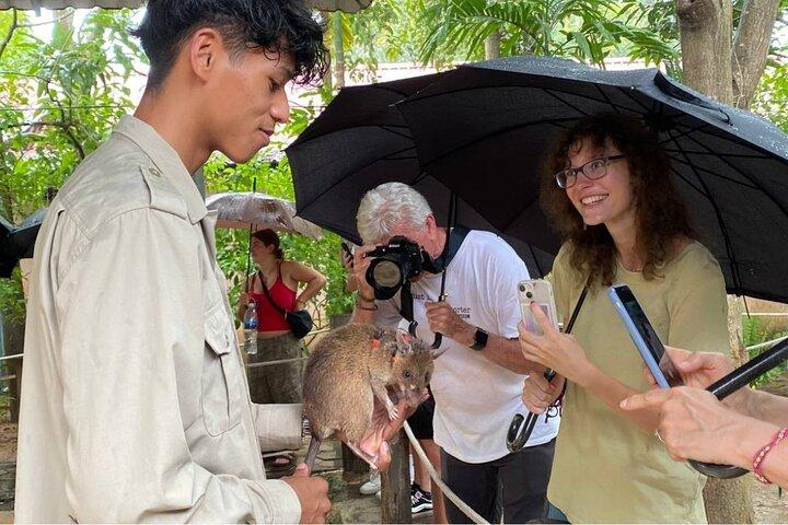 Siem Reap Guided Tour & Hero RATs at APOPO Visitor Center