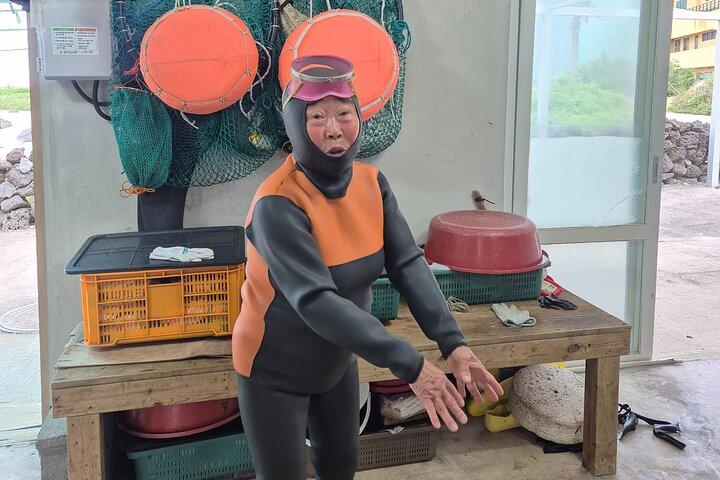 Private Meeting with a Haenyeo in Jeju (Cruise Friendly)