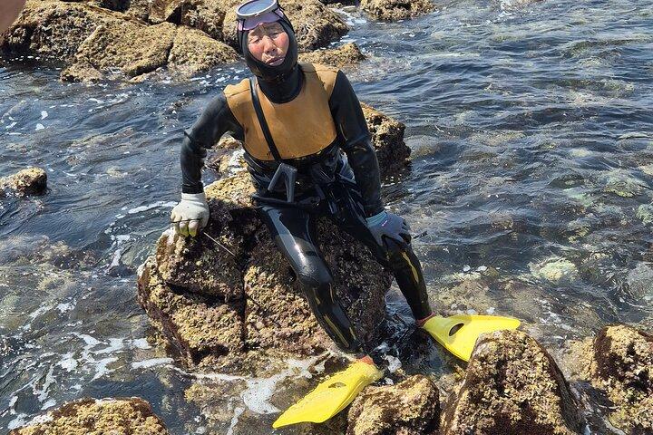 Private Meeting with a Haenyeo in Jeju (Cruise Friendly)