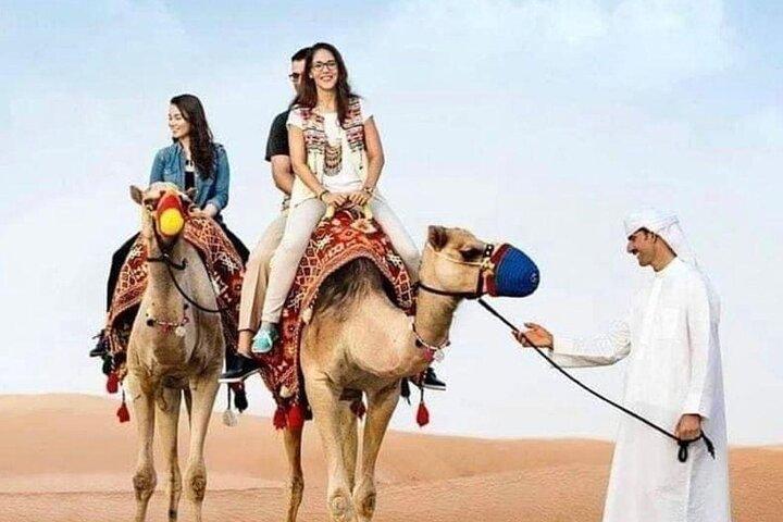 Dubai Desert Safari Camel Ride Dune Bashing BBQ Dinner & Shows
