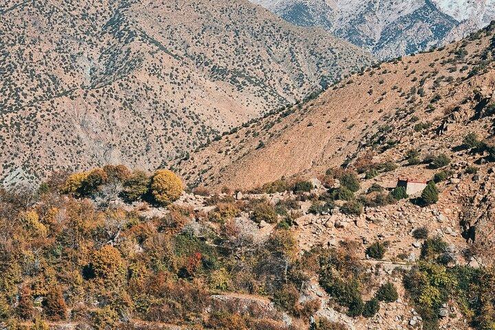 Ourika Valley Day Trip From marrakech