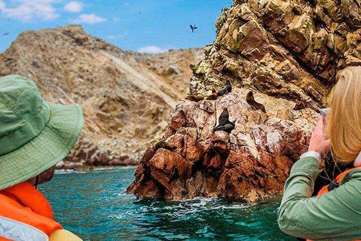 Lima: Paracas Reserve, Slave Tunnels & Ballestas Islands Full Day