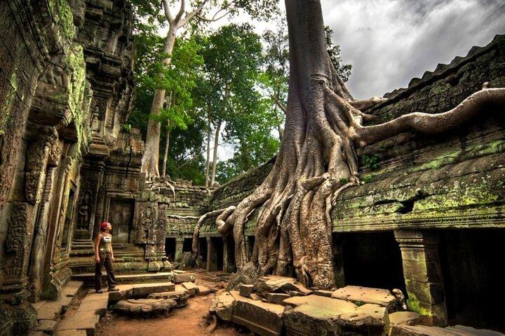 Day trip Phnom Penh to Siem Reap & Return back
