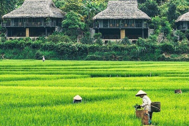 Mai Chau 1 Day: Cycle Through Peaceful Villages, Scenic Valleys
