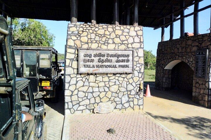 Yala Safari - Fully Private Tour - With Hotel Pick-up & Transfers