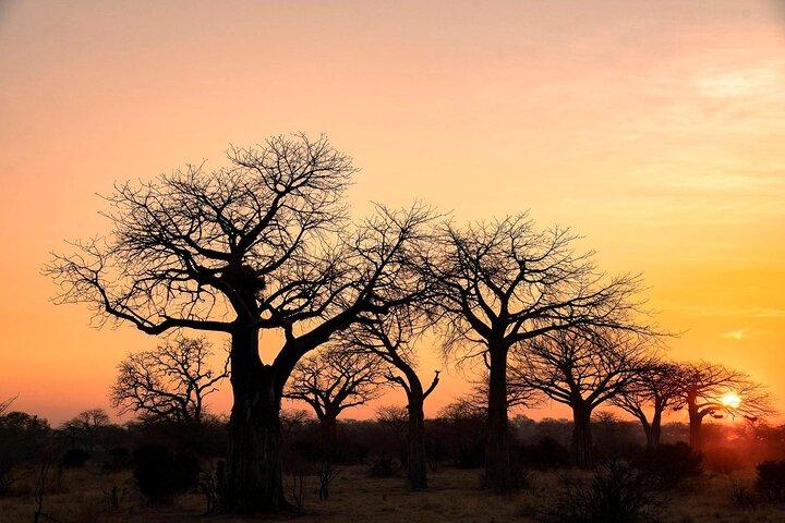 3 Days Tanzania Family Safari