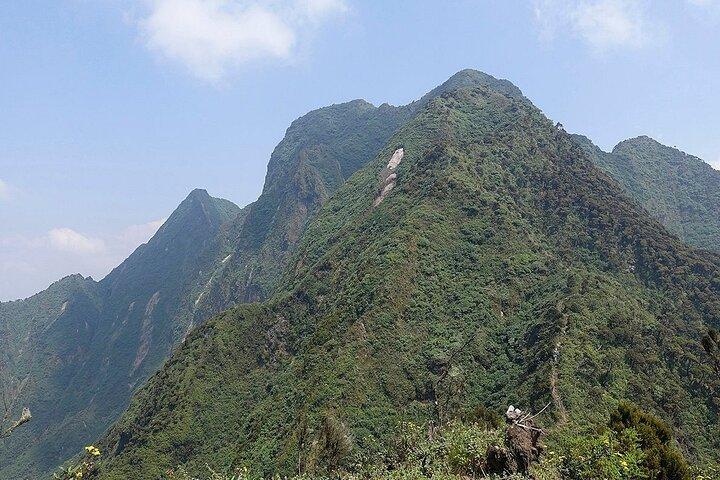 1 Day Mount Sabyinyo Hiking Adventure