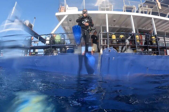 World-Class Zenobia Wreck Dive in Cyprus x 2 dives