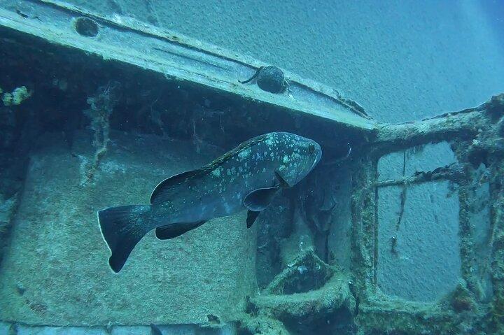 World-Class Zenobia Wreck Dive in Cyprus x 2 dives