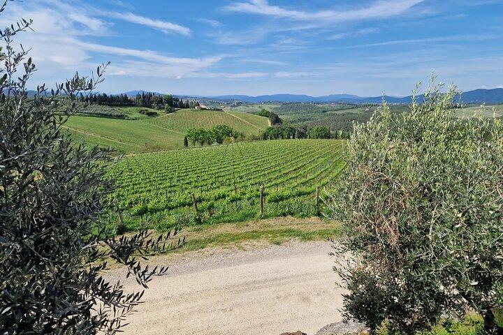 Private Wine Tour Top Wineries, Limousine Service, Florence Tours