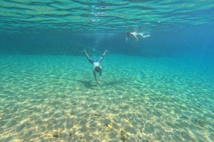 Private Snorkeling Adventure with Transportation