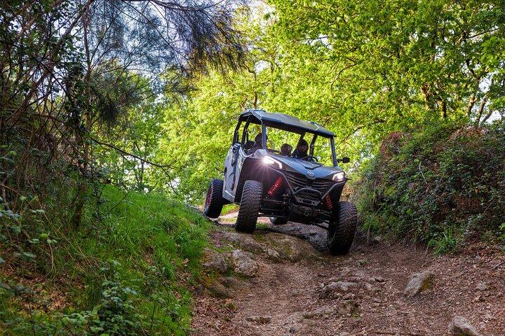 1h Buggy Tour • (price is per vehicle)