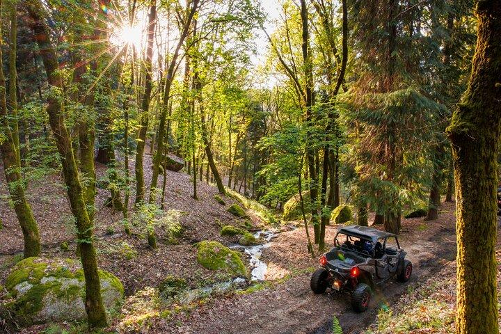 1h Buggy Tour • (price is per vehicle)