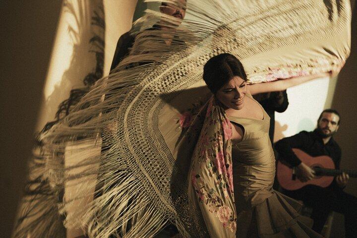 Centro Cultural Flamenco Madrid Admission Ticket