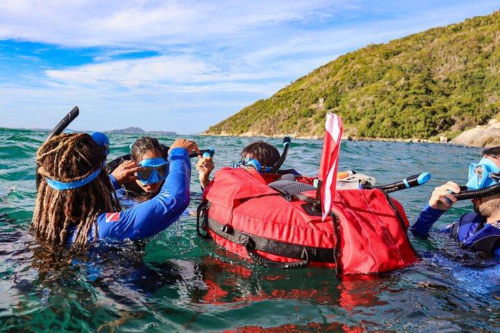 Snorkel Dive with Turtles