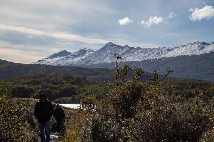 Explore Tierra del Fuego National Park (Shore Tour)