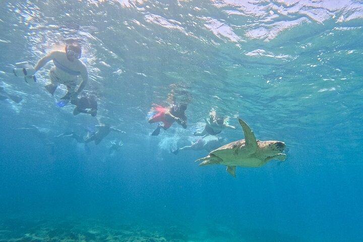 paphos:turtle-watching snorkeling sea scooter trip with guide
