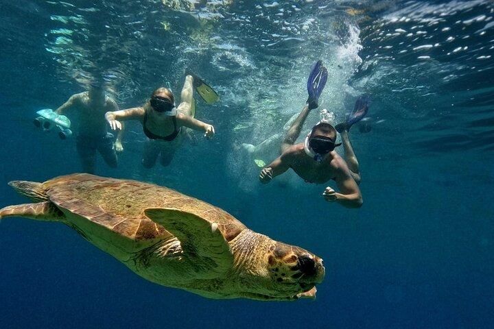 paphos:turtle-watching snorkeling sea scooter trip with guide
