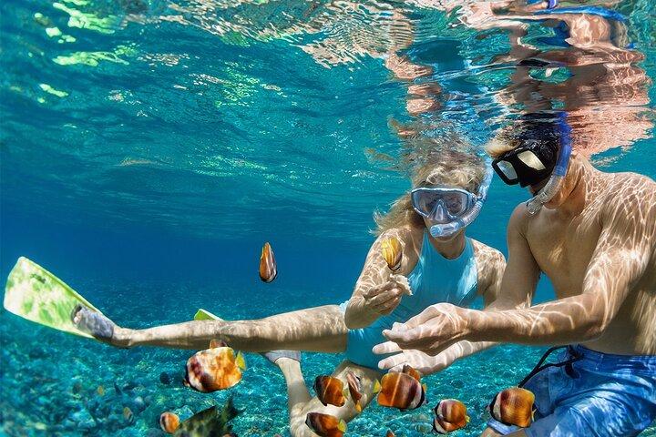 Nusa Penida Manta Point or Manta Bay Snorkeling Trip in Bali