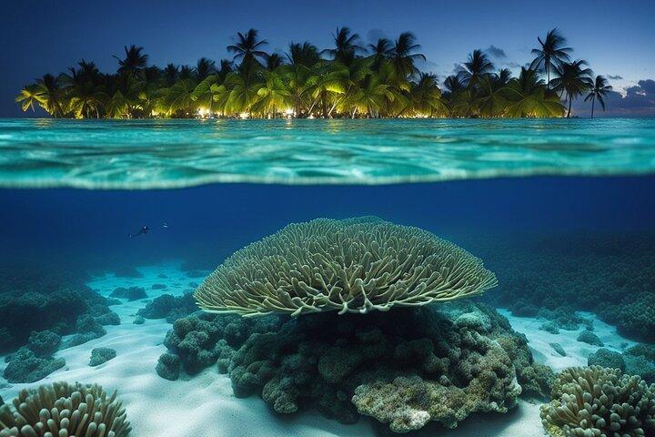 Private Bioluminescent Bay Tour