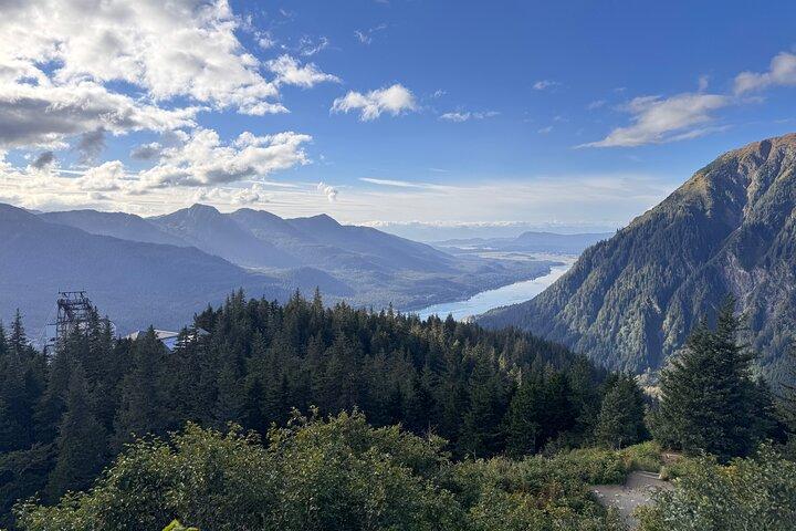 Mendenhall Glacier & Juneau Highlights Small Group Tour