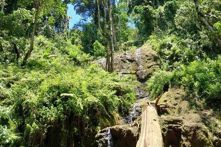Napuru Waterfalls & Coffee Farm Tour: Pure Nature & A Cup of Soul